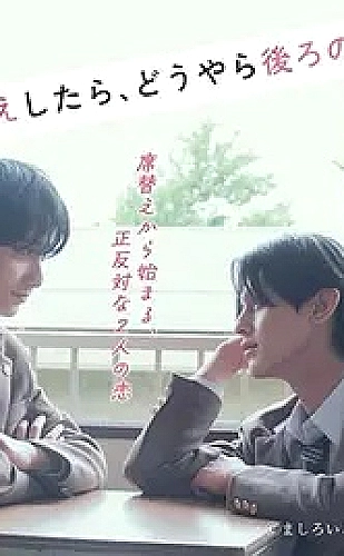 我的阿勒泰