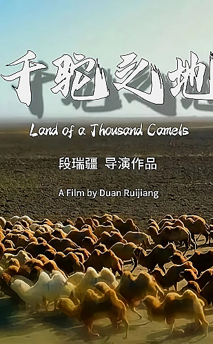我们愉快的好日子海报